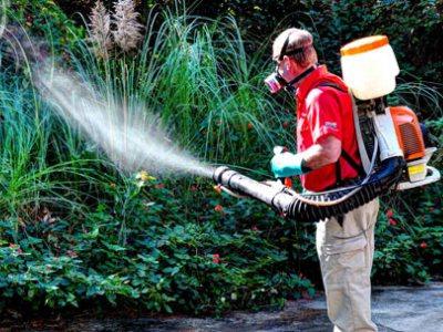 Vietnes apstrāde no odiem - padomi dārzniekiem